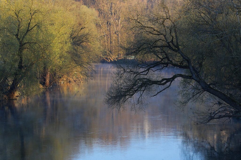 river floodplain, neckar, neckar fog, morning mist, riverbank, aue, riverside, idyll, river landscape, beautiful, reflection, waters, watercourse, nature, neckar, riverside, riverside, riverside, riverside, riverside