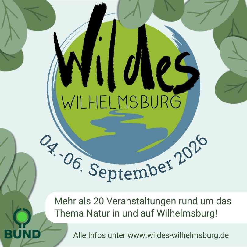 image001 wildes wilhelmsburg 26